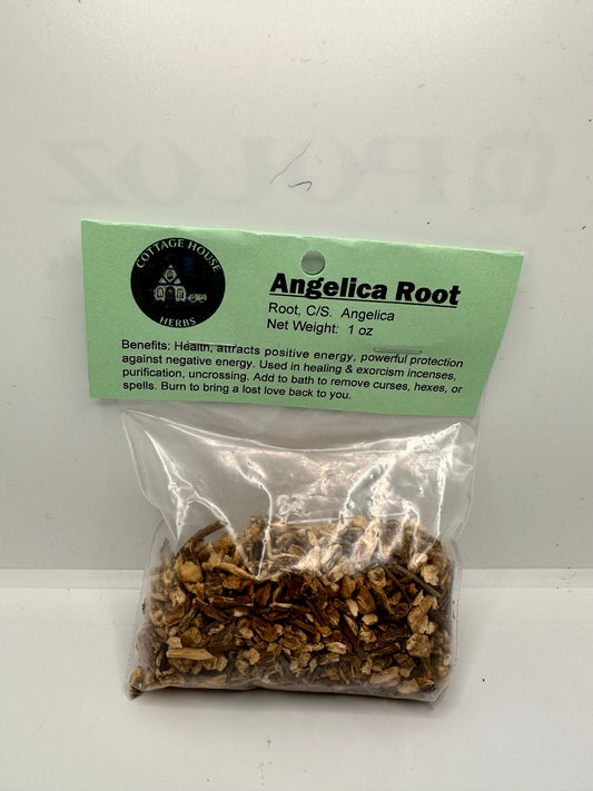 Angelica Root