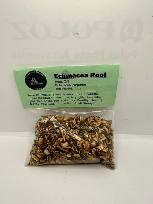 Echinacea Root